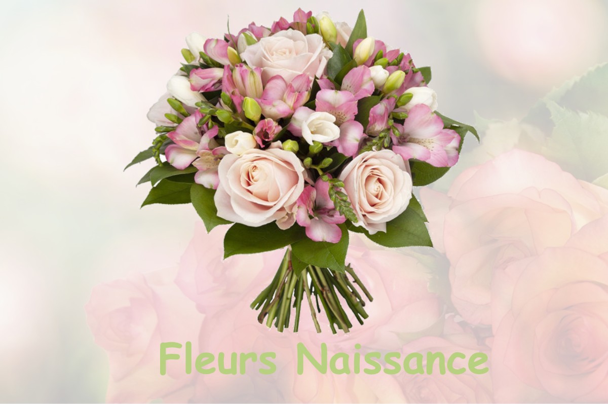 fleurs naissance POINTIS-INARD