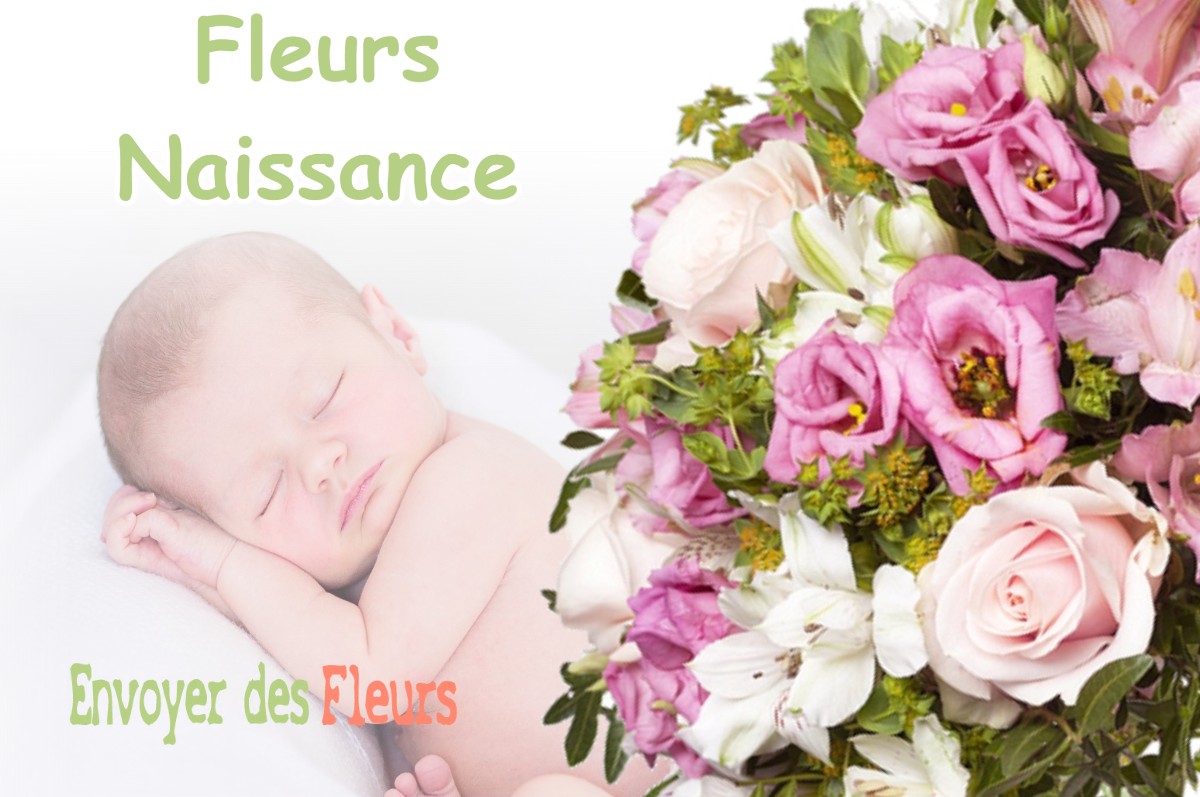 lIVRAISON FLEURS NAISSANCE à POINTIS-INARD